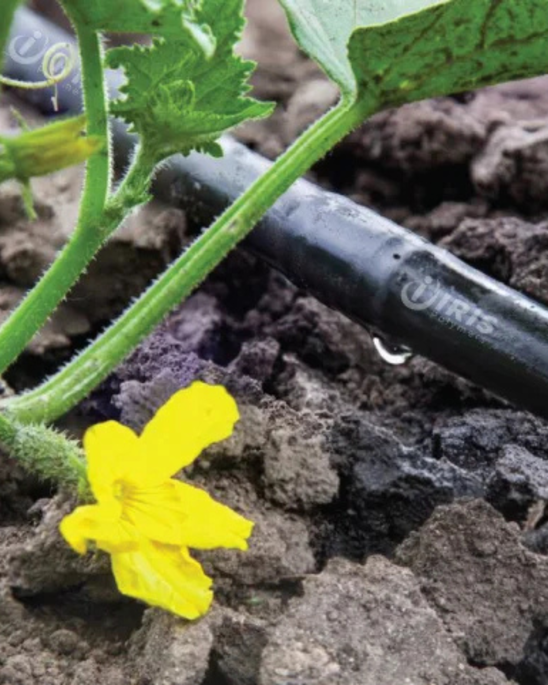 Untitled design 14 2