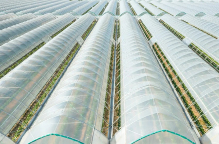 Untitled design 26 2